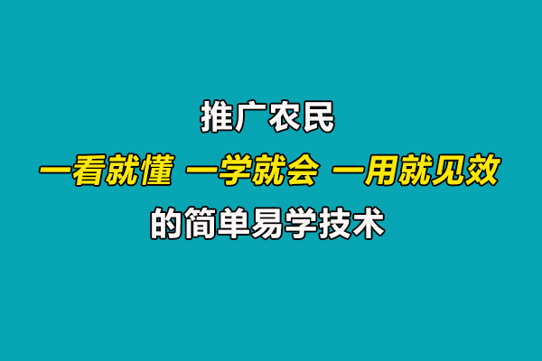 引導農民合理施肥用藥,推廣一看就懂、一學就會、一用就見效的技術